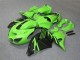 Carénage Moto ZX14R ZZR 1400 06-11 - Vert Noir