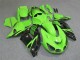 Carénage Moto ZX14R ZZR 1400 06-11 - Vert Noir